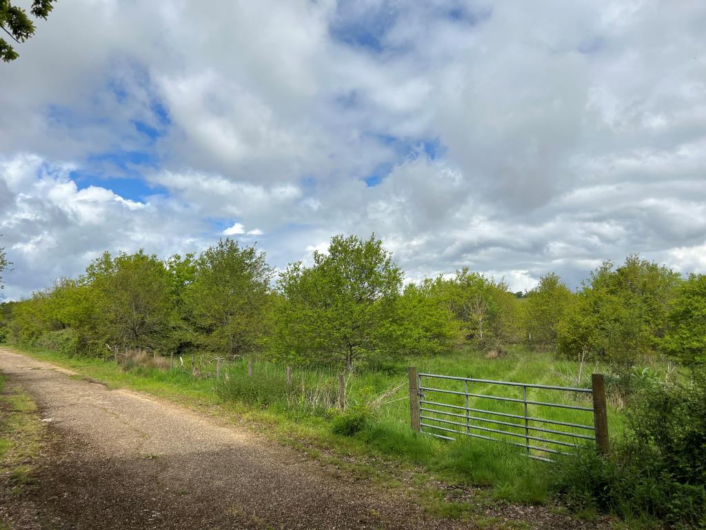 Lot: 46 - APPROXIMATELY SEVEN ACRES OF VACANT FREEHOLD LAND - Land for Sale in Whippingham Isle of Wight